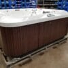 2017 Jacuzzi J-365